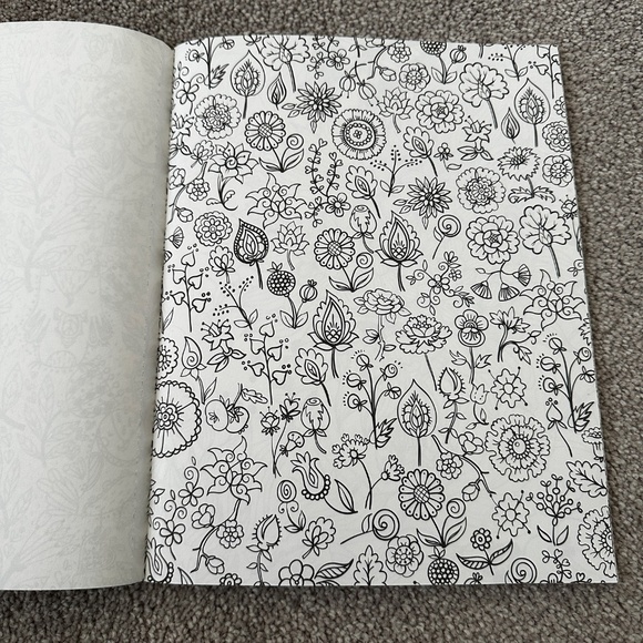 NEW Leisure Arts Natural Wonders Color Art Coloring Book - Picture 4 of 4